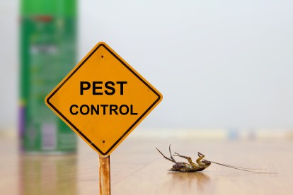 Pest Contol in Stockwell, SW9. Call Now 020 8166 9746
